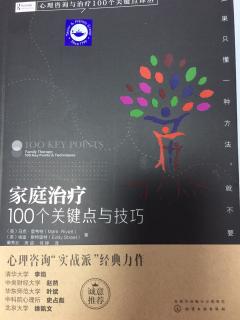 家庭治疗：100个关键点与技巧 内容简介  序 前言