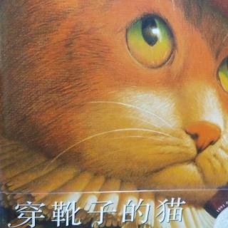 穿靴子的猫