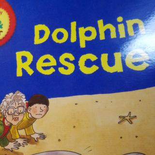 9.23 dophin rescue