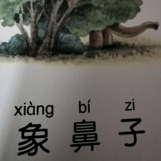 乖狐狸～象鼻子