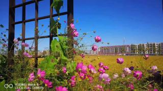 余秋雨《我藏不住秘密，也藏不住忧伤》