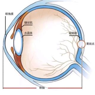 近视的预防与控制4~眼👁黄金叶黄素
