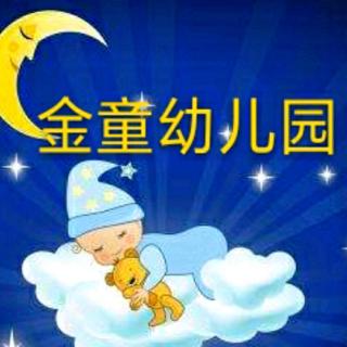 【金童幼儿园睡前故事8】《星星✨灯》