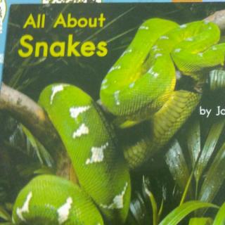 All about snakes30