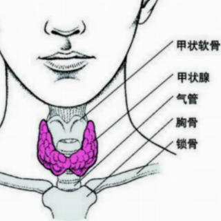 甲亢的治疗方法有哪些？