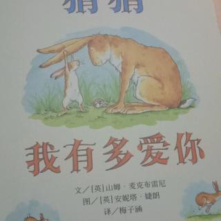 猜猜我有多爱你