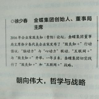 徐少春（朝向伟大，哲学与战略）