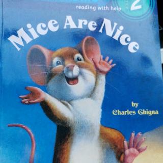 mice are nice 3