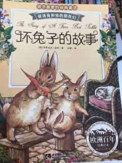 坏兔子的故事