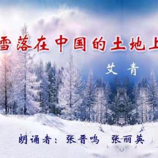 《雪落在中国的土地上》艾青|诵张晋鸣 暖阳