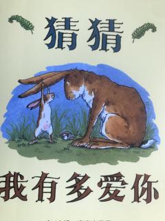 《猜猜我有多爱你》