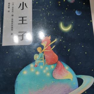 小王子第5章