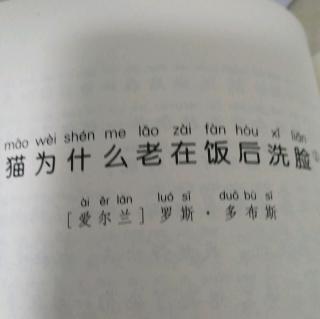 猫为什么老在饭后洗脸