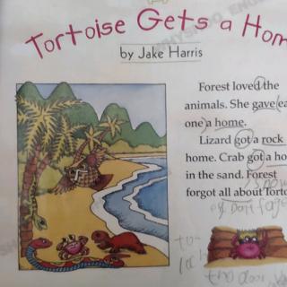 Tortoise Gets Home