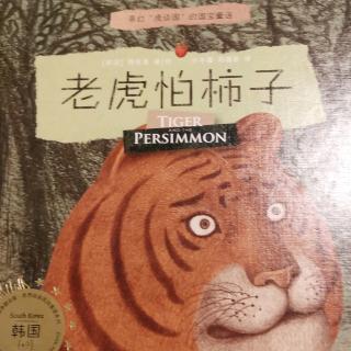 老虎怕柿子🐯