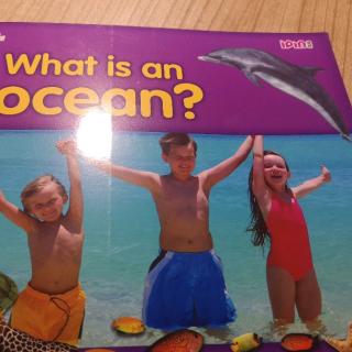 What is an ocean？？？