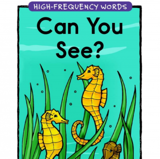 Can You See