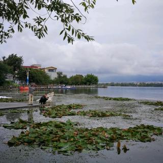 《清秋，浓也好，淡也好！》