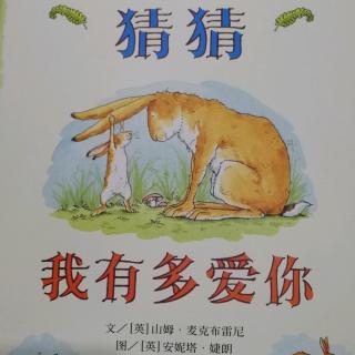 猜猜我有多爱你