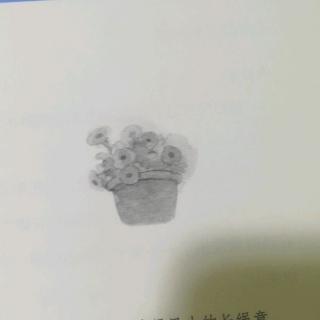 这是什么地方