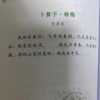 卜算子.咏梅