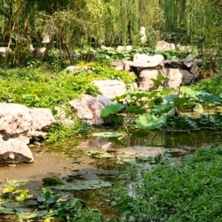 彭洪楼的英语作业