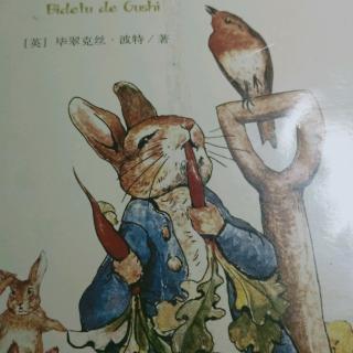 小兔本杰明的故事