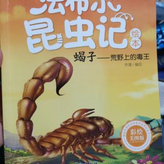 蝎子～荒野上的毒王《法布尔昆虫记绘本》