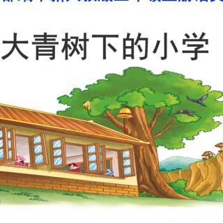 《大青树下的小学》