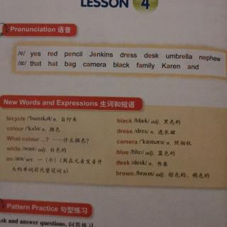 New Words and Expressions 生词和短语