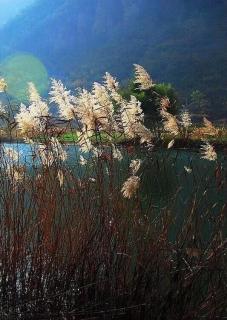 杜登龙｜秋过天涯，芳华刹那