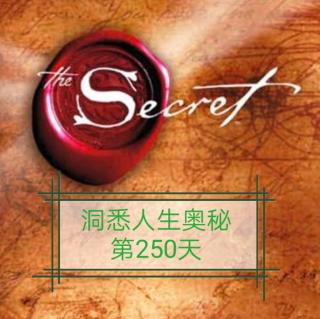 洞悉人生奥秘第250天