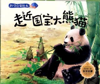 走进国宝大熊猫🐼