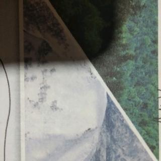 英语31页课文。