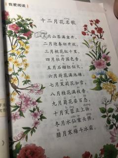 42-张澍欣-朗读《十二月花名歌》