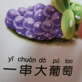 乖狐狸～一串大葡萄🍇