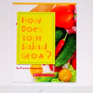 How Does Your Salad Grow