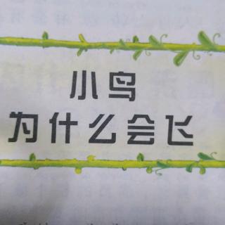石润润阅读打卡第13天小鸟为什么会飞