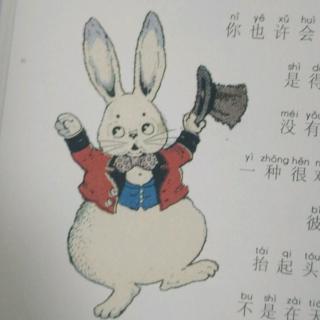 小兔彼得的好奇心💗🐰