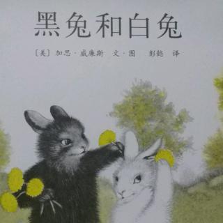 故事《黑兔和白兔》