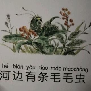 毛毛虫🐛的天空～河边有条毛毛虫1