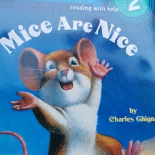mice are nice7
