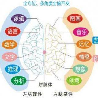 3、快速记忆法之世界记忆大师初级数字编码1