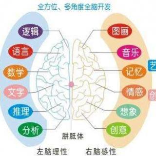 6、快速记忆法之世界记忆大师数字编码4