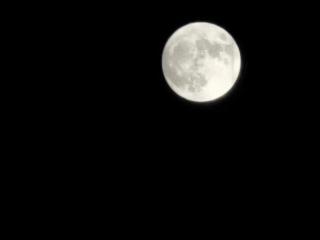 罗羽煊9月29日拼音拼读