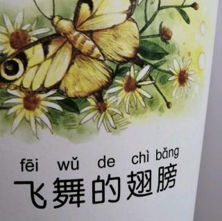 毛毛虫🐛的天空～飞舞的翅膀