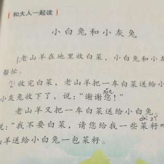 小白兔和小灰免