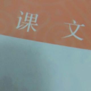 读课文5玲玲的画和6一封信