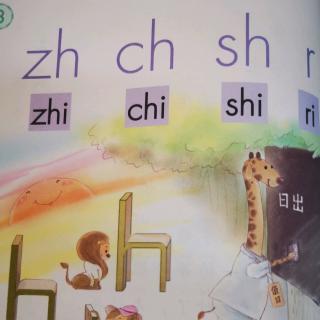 汉语拼音八  zh  ch  sh  r