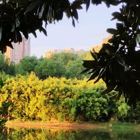 《呼风唤雨的世纪》